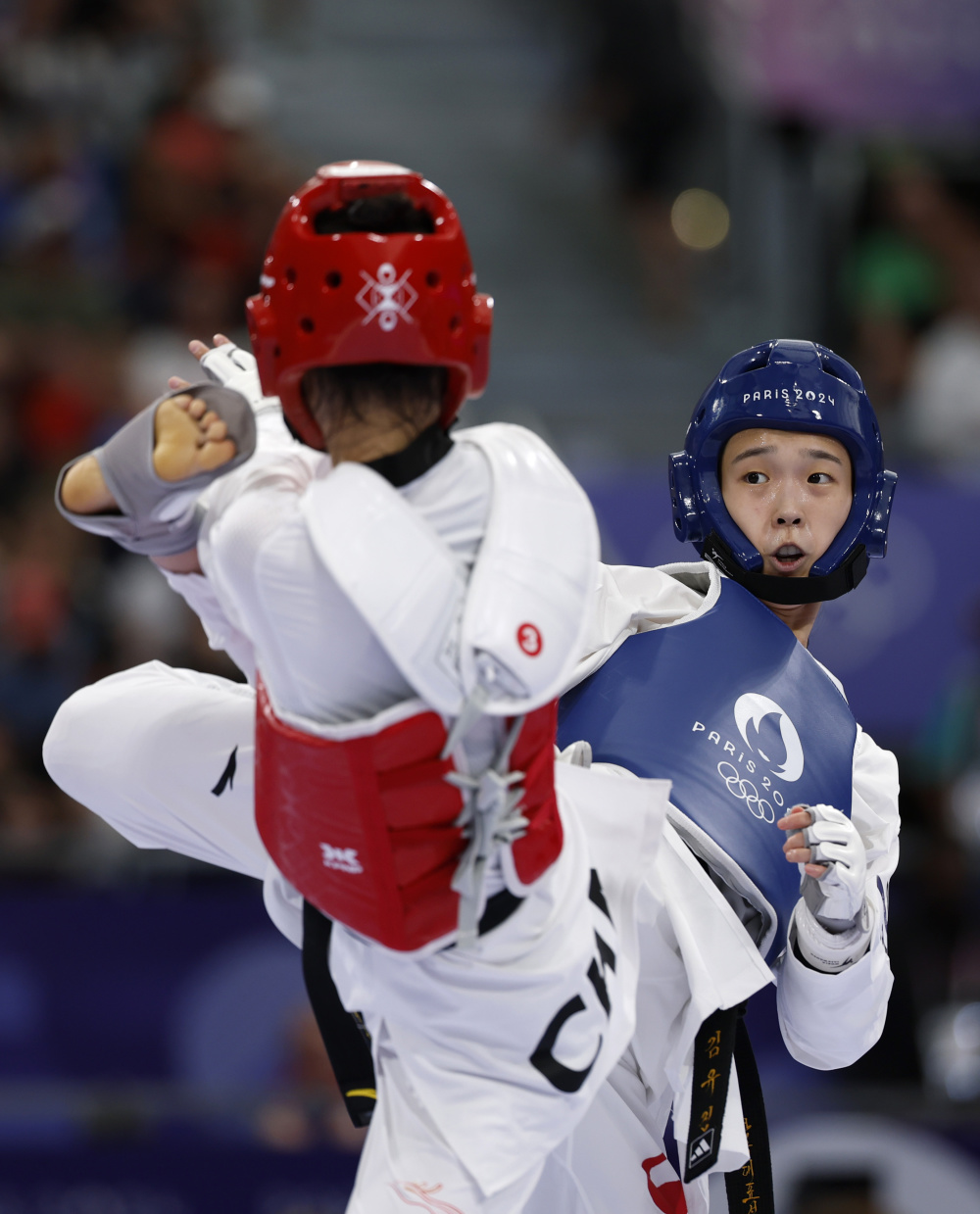 跆拳道比赛：韩国队豪取冠军